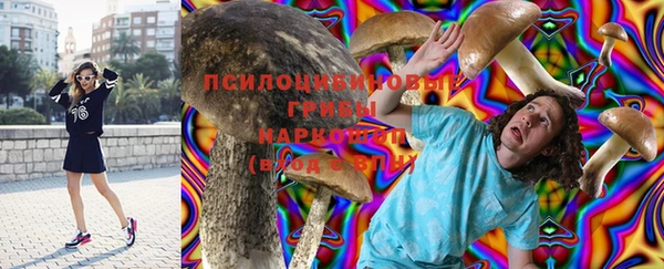 каннабис Зеленокумск