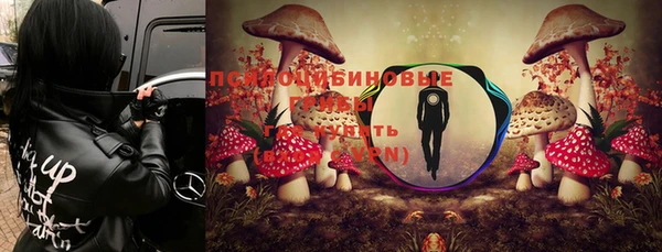 молекула духа Валдай